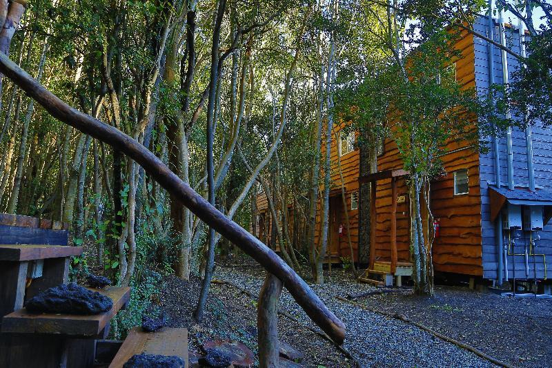 Cabanas Ensenada Bosque Nativo Puerto Varas Exterior photo