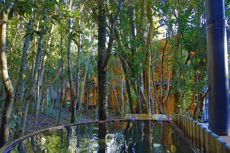 Cabanas Ensenada Bosque Nativo Puerto Varas Exterior photo