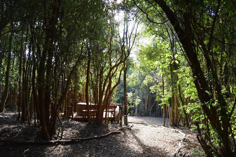 Cabanas Ensenada Bosque Nativo Puerto Varas Exterior photo